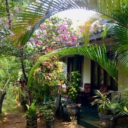 Village Feel Home Stay Sigiriya Exterior photo