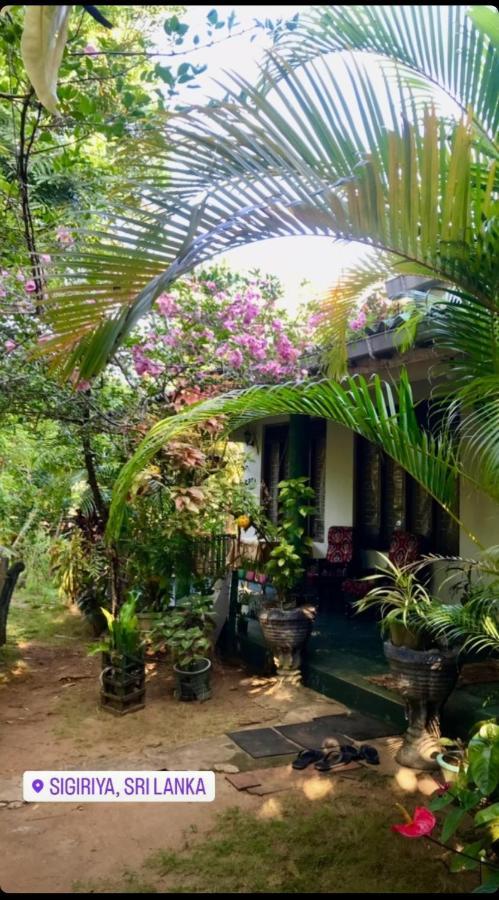 Village Feel Home Stay Sigiriya Exterior photo